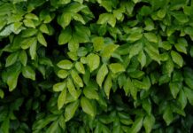 Vælg en miljørigtig løsning!