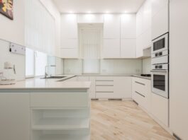 Dampovnen – din vej til den perfekte tilberedning!