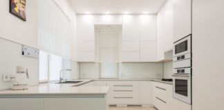 Dampovnen – din vej til den perfekte tilberedning!