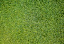 5 fordele ved en robotplæneklipper