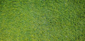 5 fordele ved en robotplæneklipper