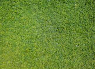 5 fordele ved en robotplæneklipper