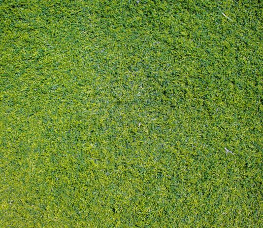 5 fordele ved en robotplæneklipper